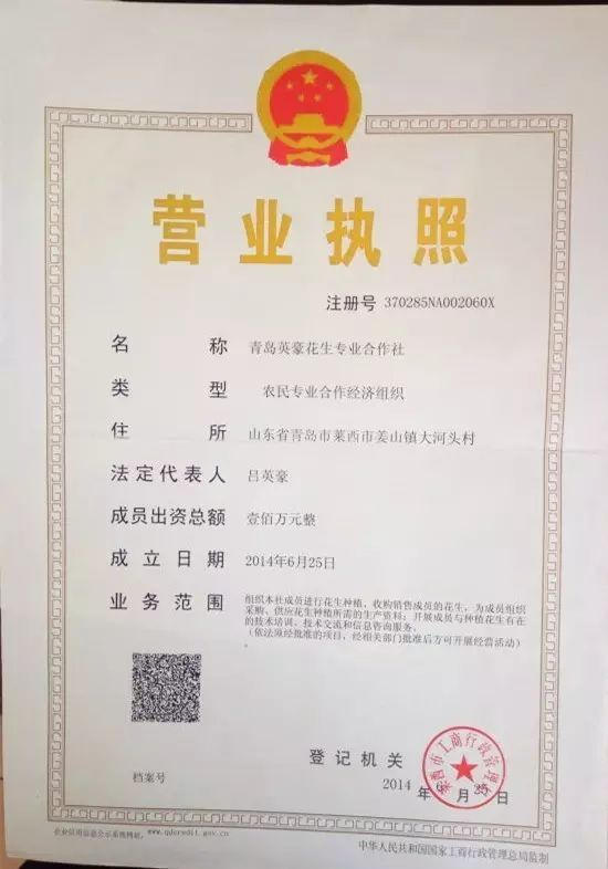 合作共赢，绿动未来——青岛英豪花生专业合作社技术交流座谈会成功举办