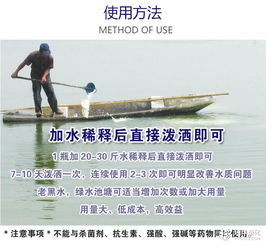 虾塘水体浑浊原因分析与快速净水技术全攻略